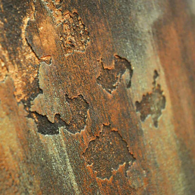 dekoratyvnyi-efekt-irzhi-korozii-craftart-5-1